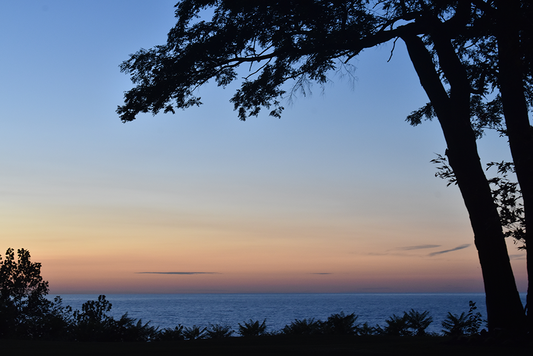 Night shot of beach and trees