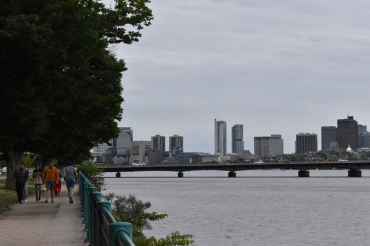 City And The Sea