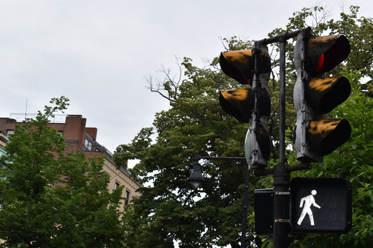 Traffic Light In The Middle Of The Trees