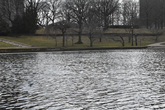 the river and the trees