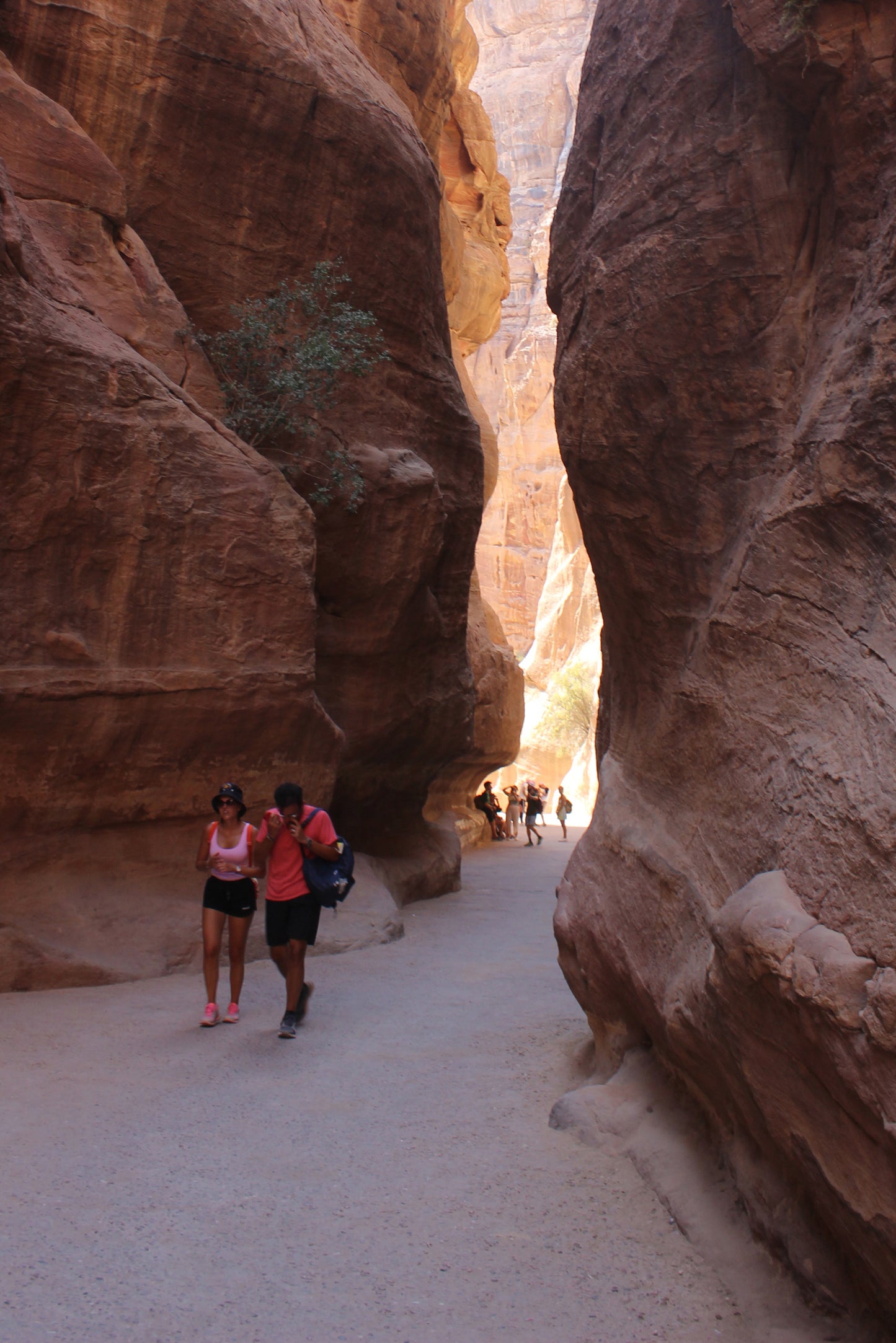 Narrow Aisle in Petra Mountain 5