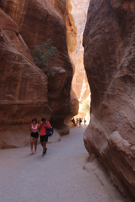 Narrow Aisle in Petra Mountain 5