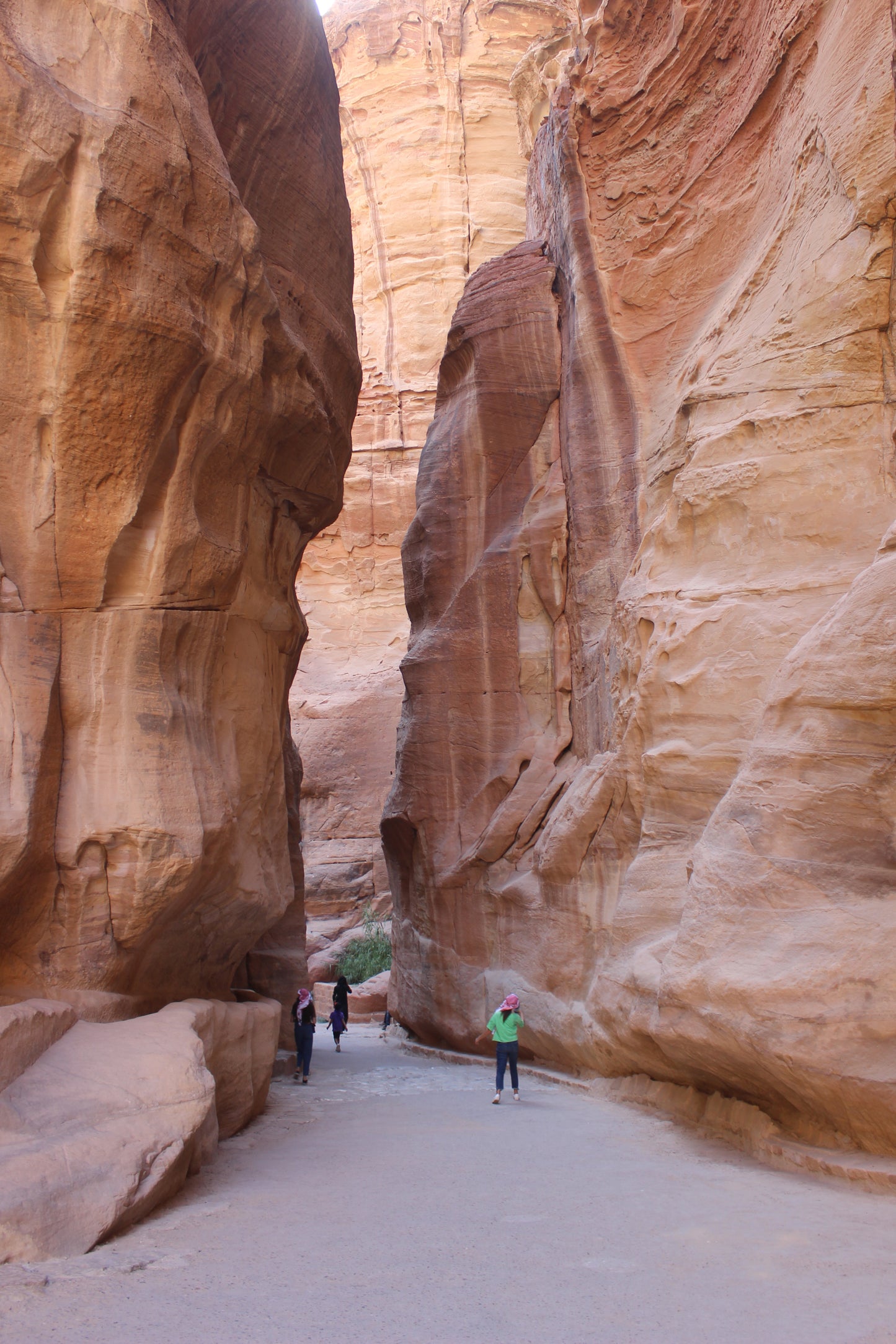 Narrow Aisle In The Highest Petra Mountain