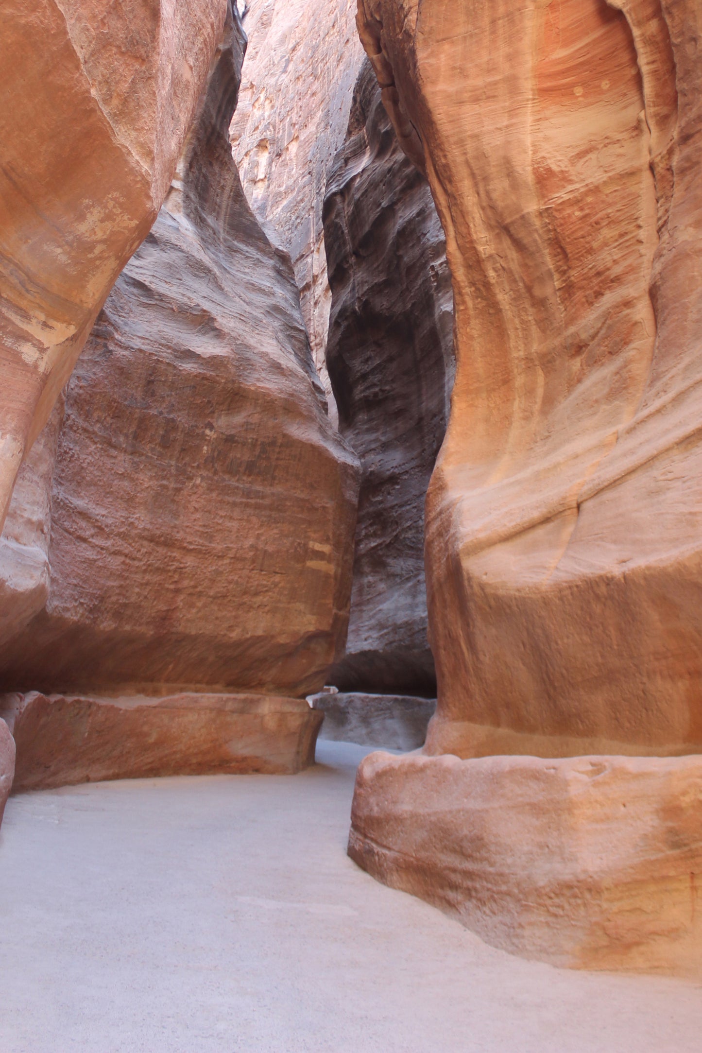 Narrow Aisle In Petra Mountain